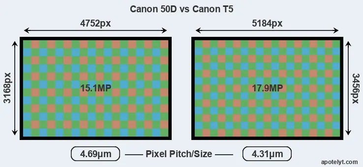 50D versus T5 MP