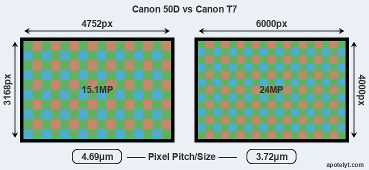50D versus T7 MP