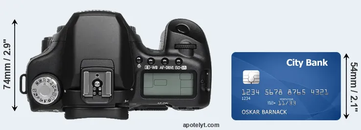 50D versus credit card top view