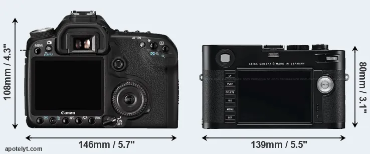 Comparison 50D or M Typ 240 rear