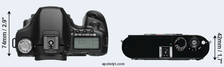 Compare 50D versus M Typ 240 top