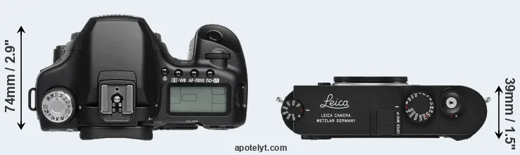 Compare 50D versus M10-P top