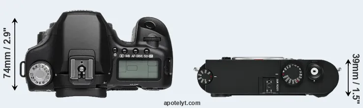 Compare 50D versus M10 top