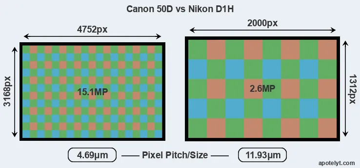 50D versus D1H MP