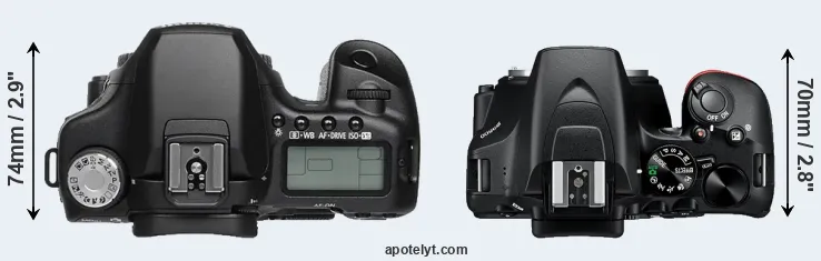 Compare 50D versus D3500 top