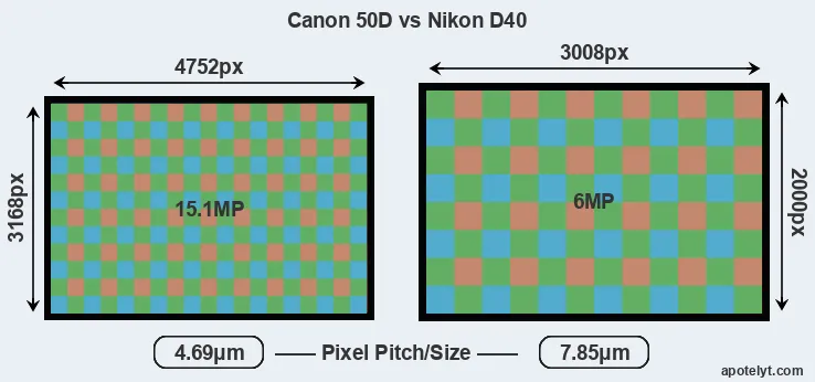 50D versus D40 MP