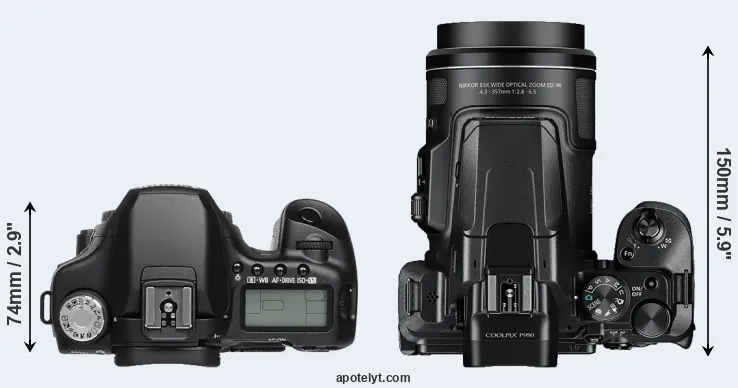 Compare 50D versus P950 top