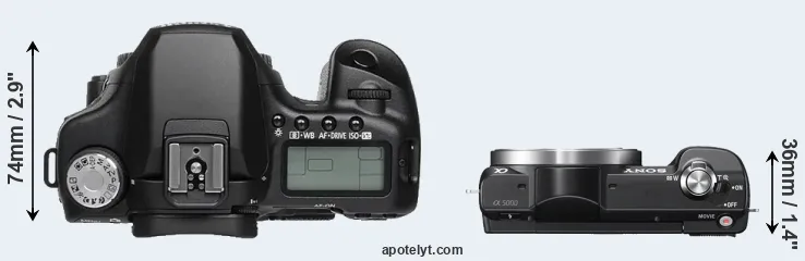 Compare 50D versus A5000 top