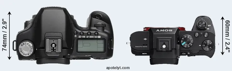 Compare 50D versus A7 II top