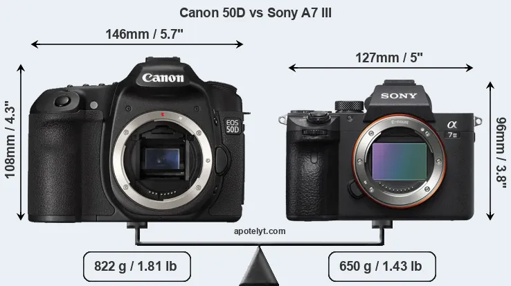 Size Canon 50D vs Sony A7 III