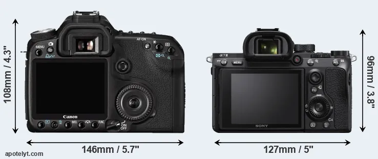 Comparison 50D or A7 III rear