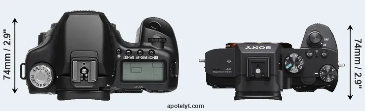 Compare 50D versus A7 III top