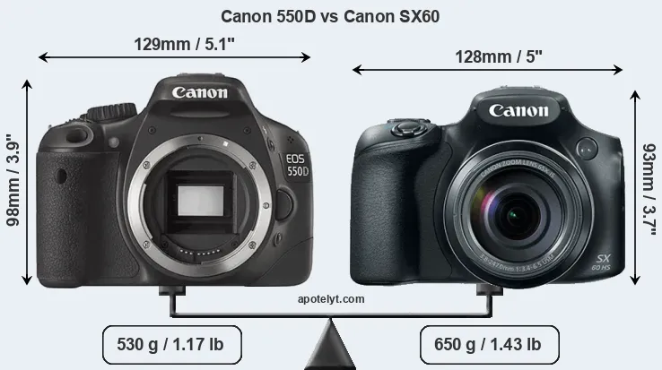 Size Canon 550D vs Canon SX60