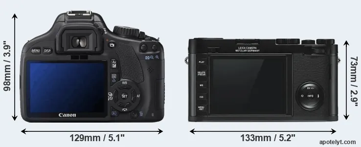 Comparison 550D or X Typ 113 rear