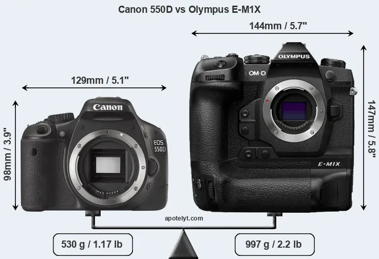 Size Canon 550D vs Olympus E-M1X