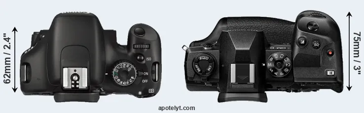 Compare 550D versus E-M1X top