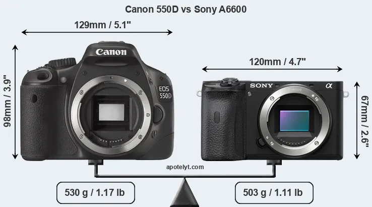 Size Canon 550D vs Sony A6600
