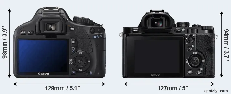 Comparison 550D or A7 rear