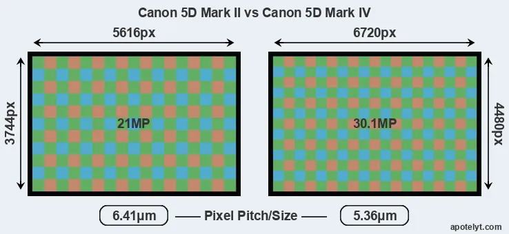 5D Mark II versus 5D Mark IV MP