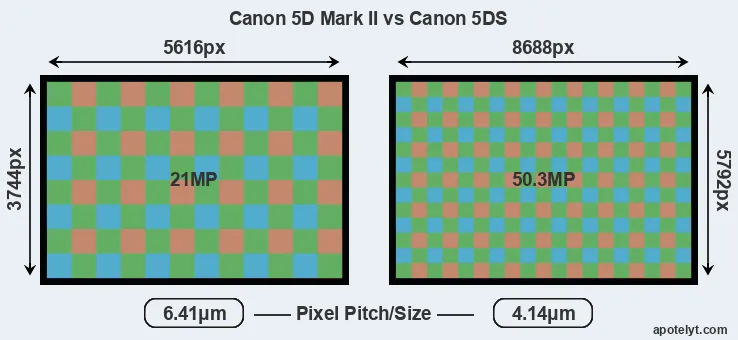 5D Mark II versus 5DS MP