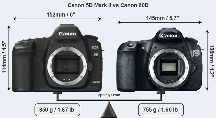 Size Canon 5D Mark II vs Canon 60D