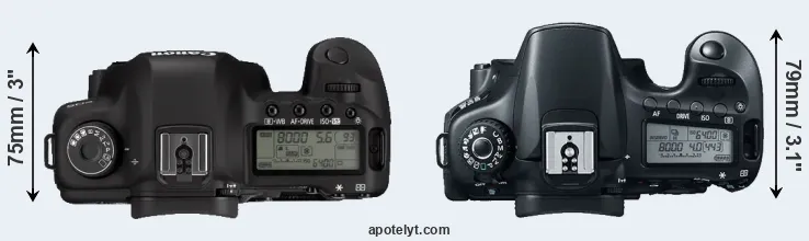 Compare 5D Mark II versus 60D top