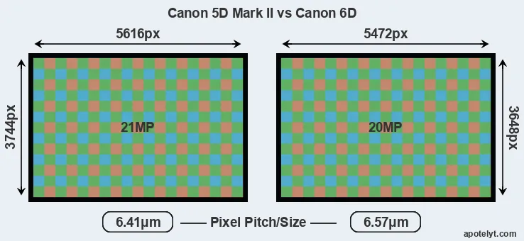 5D Mark II versus 6D MP