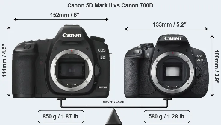 Size Canon 5D Mark II vs Canon 700D