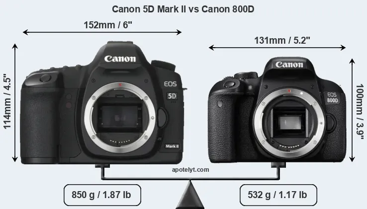 Size Canon 5D Mark II vs Canon 800D