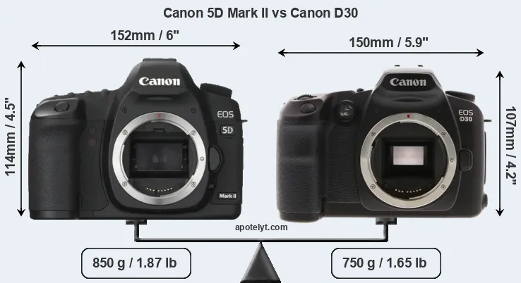 Size Canon 5D Mark II vs Canon D30
