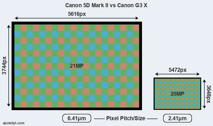 5D Mark II versus G3X MP