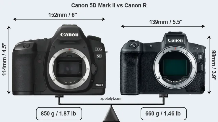 Size Canon 5D Mark II vs Canon R