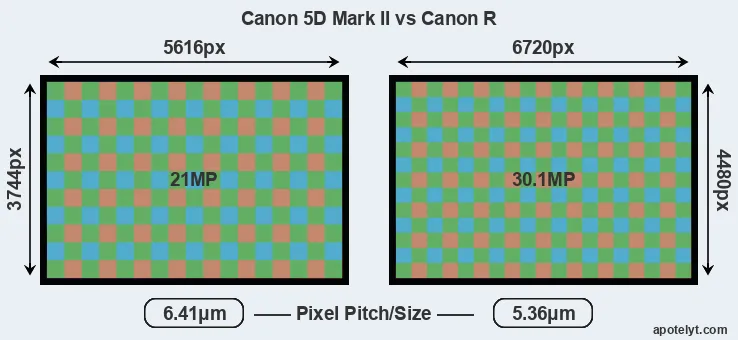 5D Mark II versus Canon R MP