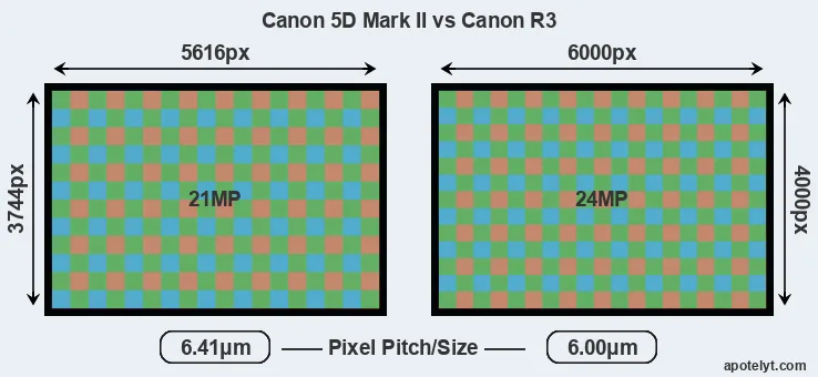 5D Mark II versus R3 MP