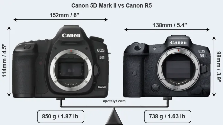 Size Canon 5D Mark II vs Canon R5