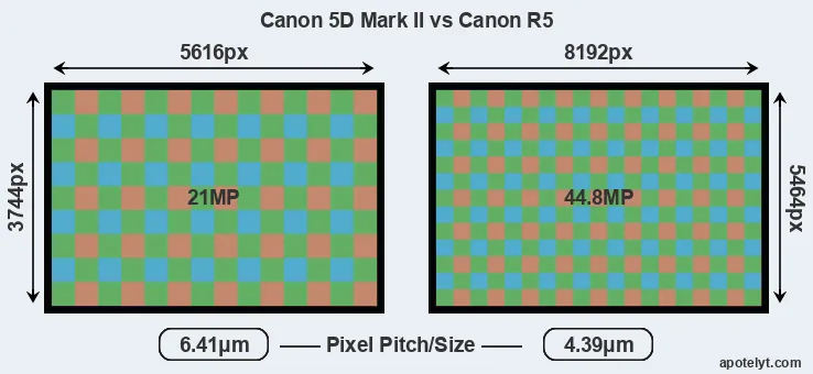 5D Mark II versus R5 MP