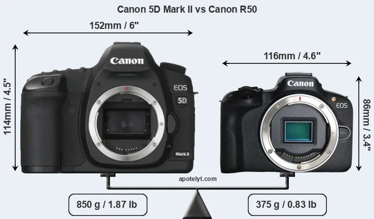 Size Canon 5D Mark II vs Canon R50