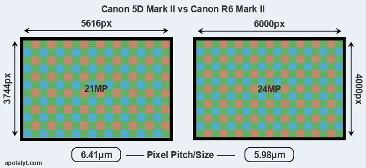 5D Mark II versus R6 Mark II MP