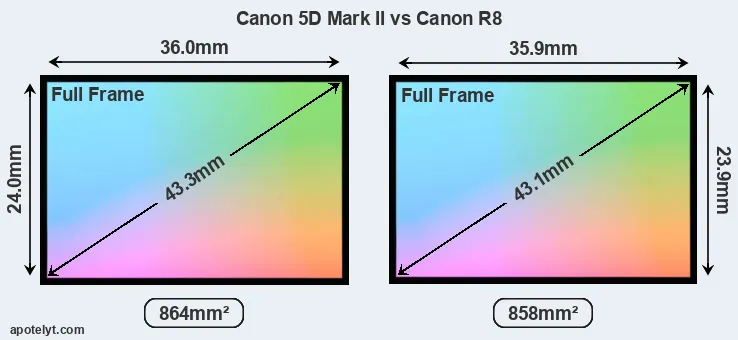 Canon 5D Mark II and Canon R8 sensor measures