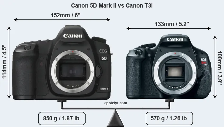 Size Canon 5D Mark II vs Canon T3i