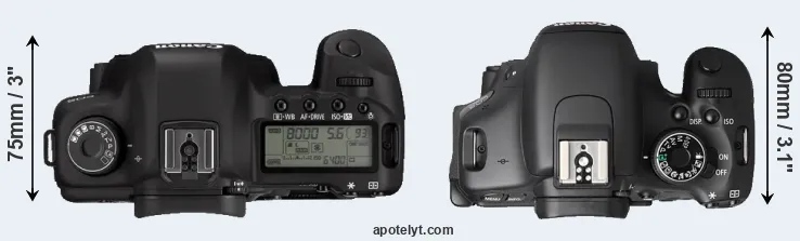 Compare 5D Mark II versus T3i top
