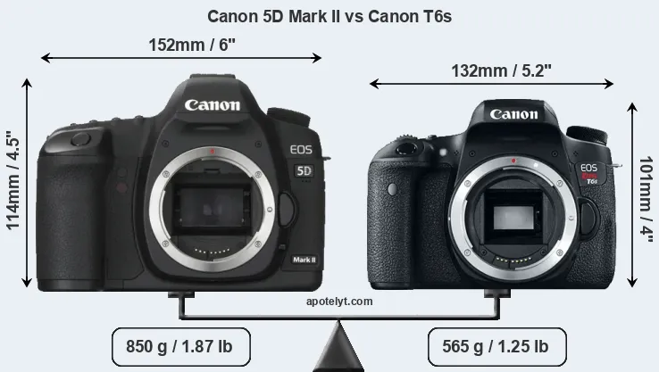 Size Canon 5D Mark II vs Canon T6s