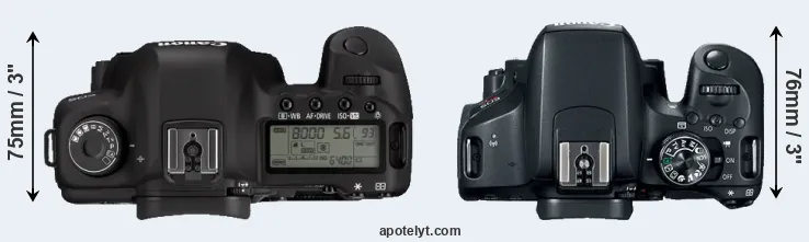 Compare 5D Mark II versus T7i top