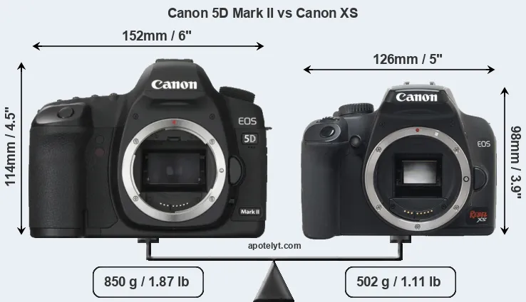 Size Canon 5D Mark II vs Canon XS