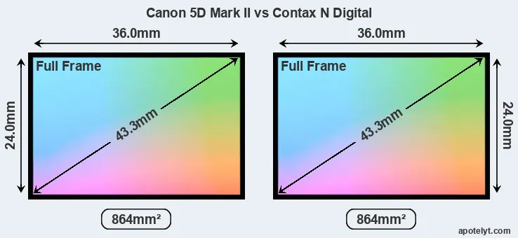Canon 5D Mark II and Contax N Digital sensor measures