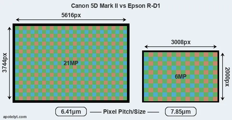 5D Mark II versus R-D1 MP