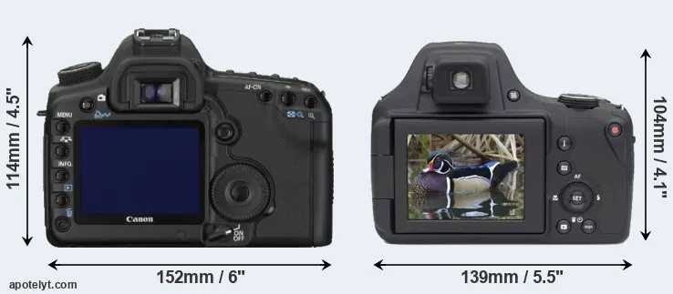 Comparison 5D Mark II or AZ901 rear