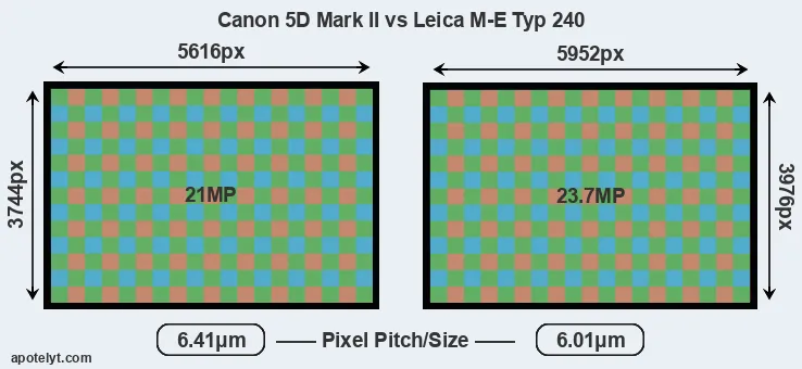 5D Mark II versus M-E Typ 240 MP