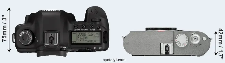Compare 5D Mark II versus M-E Typ 240 top