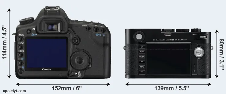 Comparison 5D Mark II or M Typ 240 rear